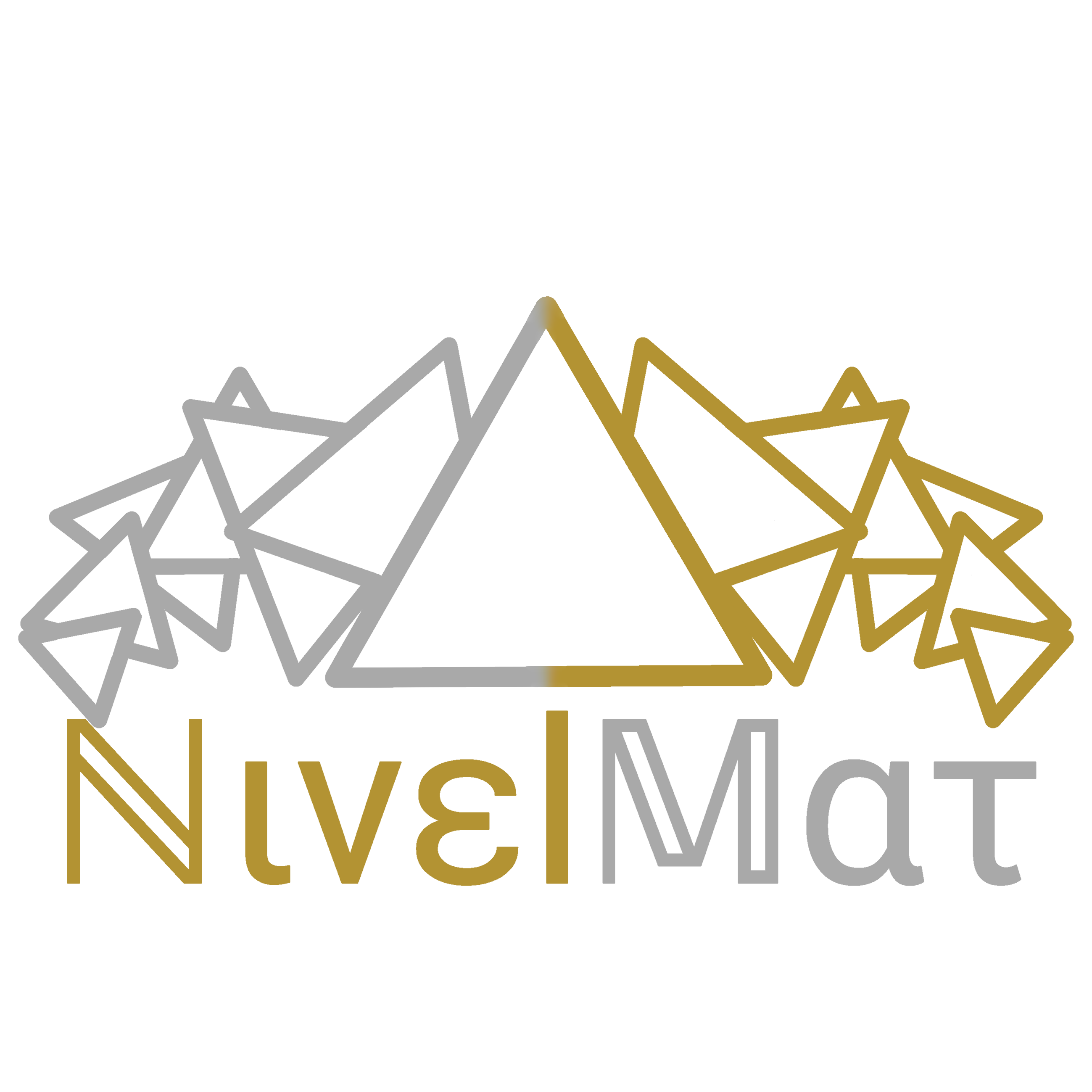 Logo NivelMat